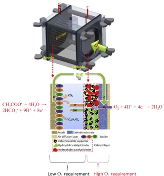 Figure 1.1 Schematic of typical air-cathode MFC. 