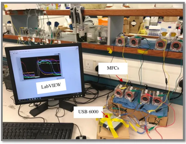 Figure 3.1 MFCs study system 