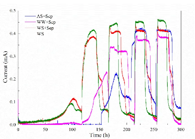 Figure 4.2 The startup of MFCs with different inoculum. 