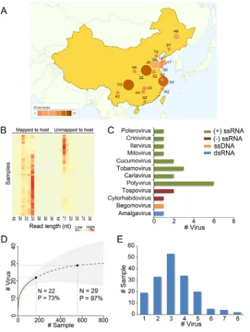 FIG 1 Virus detection in ﬁeld-grown tomato samples in China using sRNA sequencing. (A) Distribution of thesampling regions in China