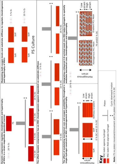 Figure 1.3 Full schematic of all thesis sub-objectives.