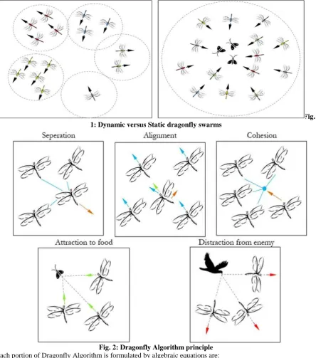Fig. 1: Dynamic versus Static dragonfly swarms 