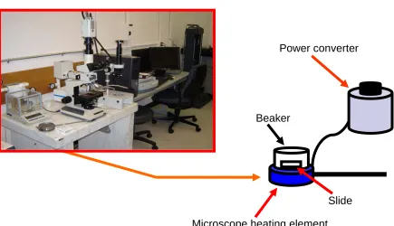 Figure 2: Microscope and Sample Incubation Set-up   