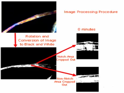 Figure 3: Procedure for Processing and Cropping Images   