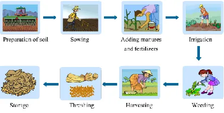 Fig. 1 Processes involves in agriculture 