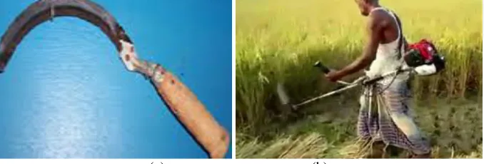 Fig. 4Irrigation process is carried out a) by using conventional technique (a) by using mechanized technique  