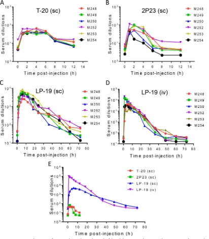 FIG 4 Ex vivobased single-cycle infection assay, and serum dilutions required for 50% inhibition of virus infection were calculated