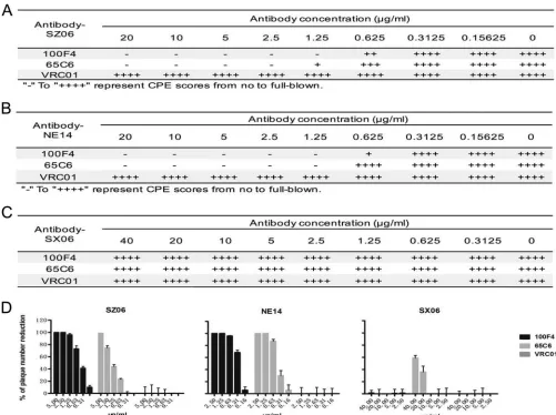 FIG 1 Assessment of neutralization by 100F4 and 65C6 antibodies and control antibody VRC01 using a microneutralization assay (A to C) or plaque reductionassay (D)