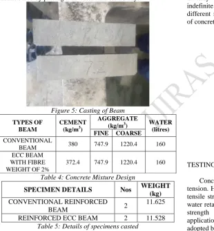 Figure 5: Casting of Beam AGGREGATE 