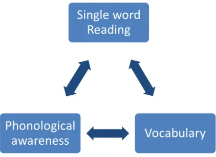 Figure 10. Relation between reading, phonological awareness and vocabulary 