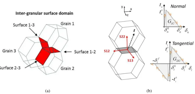 Fig. 3 Inter- granular surface domain: (a) example of grains’ boundaries and (b) Bilinear traction- traction-separation laws in tension and shear 