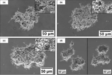 Fig.  13.  SEM  observations  of  corrosion  pits  after polarisation during lOmin at 7m.A cm-2  in 0.5 M NaCI for (a) the as-received, (b) ECAP­