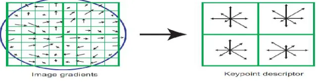 Fig 4: Key point descriptor 