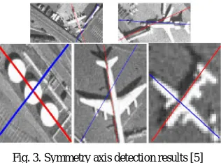 Fig. 3. Symmetry axis detection results [5]  