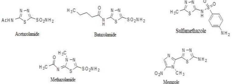 Figure 1.3. Some drugs containing 1,3,4-thiadiazole ring. 