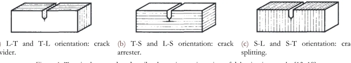 Figure 1: Terminology used to describe the various orientation of delamination cracks [13, 19]