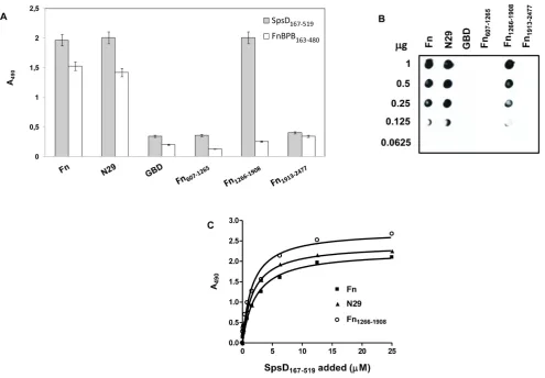 Figure 6. Localization of SpsD binding sites in Fn. (A), native Fn, the N29, the GBD, the recombinant fragments Fnml) and complexes detected by addition of mouse anti-SpsDits fragments reported as control was detected by addition to the wells of anti-FnBPB