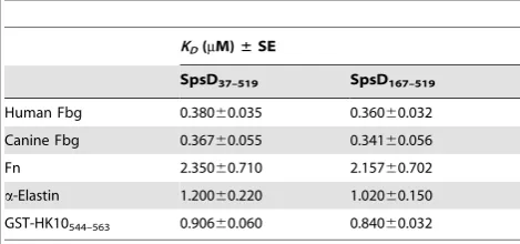 Figure 7. Binding of SpsD167Bound SpsDmouse K10anti-SpsD IgG and HRP-conjugated rabbit anti-mouse IgG.–519 to immobilized cytokeratin 10 proteins