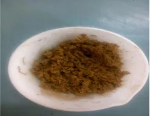 Fig 4:SEM of Phosphate treated rice husk 