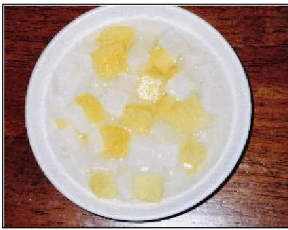 Figure 2.1: Nata de’ Coco product [1] 