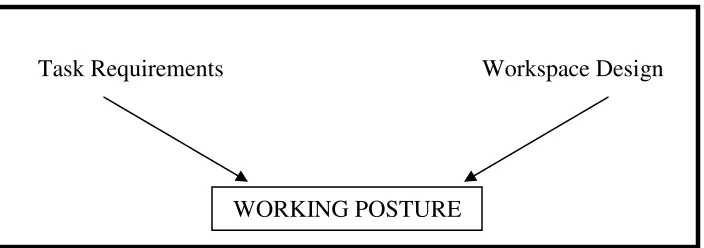 Figure 2.1: The Postural Triangle. (Bridger, R.S, 2003) 