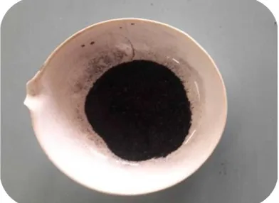 Figure 1.Microscopic view of  fine particles of Walnut Shell powder   