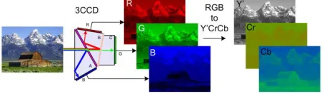 Fig. RGB to YCbCr conversion 