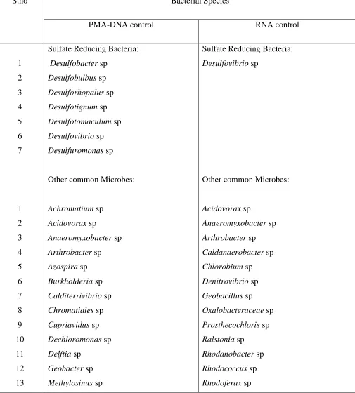 Table 2.5: Comparison of Control RNA and PMA-DNA based on bacterial species identified 