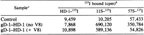 TABLE 1. Localization of the 11S epitope on the 38K fragment1251 (cpm)b