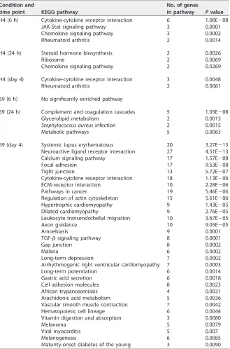 TABLE 2 Enriched signiﬁcant KEGG signaling pathways among unique genes in NS3-H4and NS5-69 T cells responding to Huh7A2 HCVRep target cells at indicated time pointsa