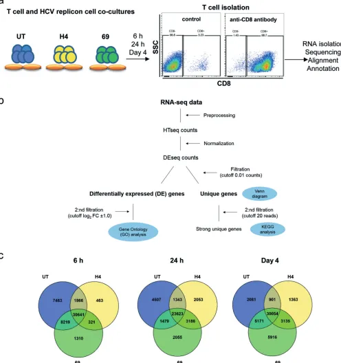 FIG 5 Transcriptome proﬁling by RNA-seq in NS3-H4-directed, NS5-69-directed, and undirected T cells after coculture with HCV replicon cells