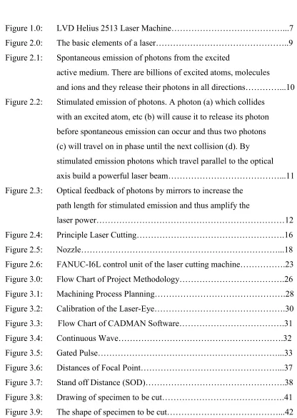 Figure 1.0:  