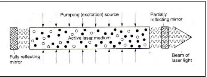 Figure 2.0: The basic elements of a laser. 