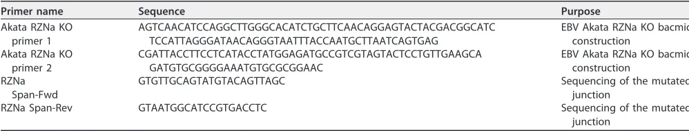 TABLE 1 Primers used for construction of the EBV Akata RZNa KO bacmid
