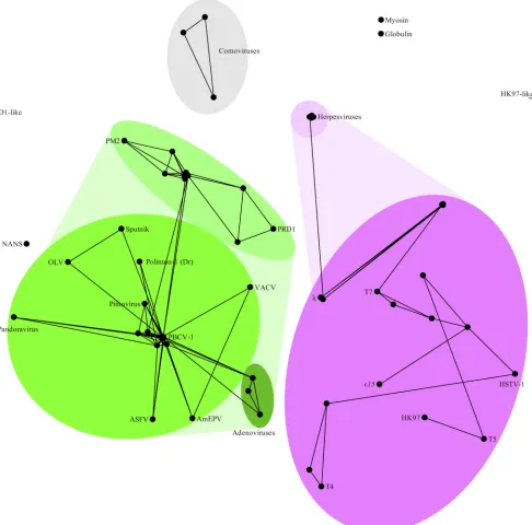 FIG 2 Clustering of virus coat proteins produced by HOSS. Shades of green indicate the PRD1-adenovirus lineage, shades of pink the HK97 lineage, and graythe comoviruses