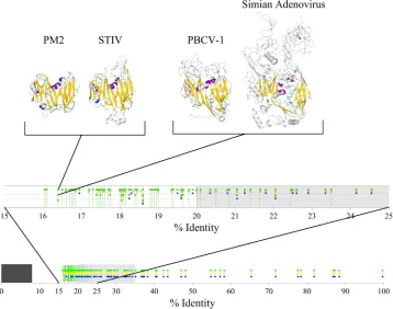 FIG 3 Finding signiﬁcantly similar sequence pairs from a set of virus coat proteins using HOSS and BLAST