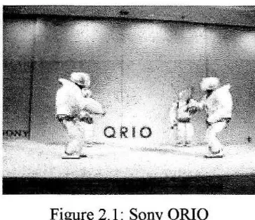 Figure 2.1: Sony QRIO 