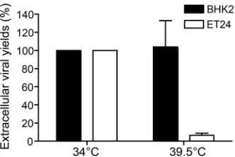 FIG 1 DDX3X is necessary for HSV-1 replication. The DDX3X thermosensitive tsET24 and parental BHK21cell lines were incubated for 24 h prior to infection at the permissive (34°C) or nonpermissive (39.5°C)temperature and infected with HSV-1 K26GFP (MOI of 5)