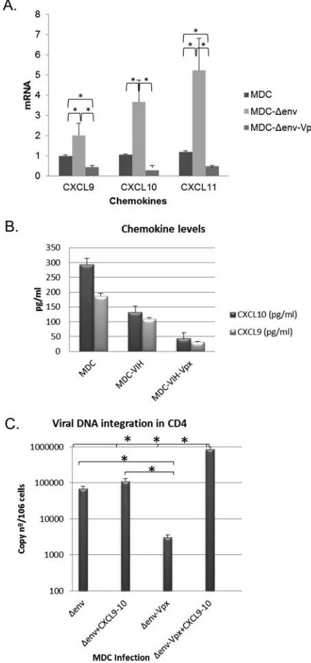FIG 8 Changes in chemokine levels during productive and restrictive infection in mature dendritic cells.Human MDCs were infected with JR-Ren virus (HIV-1) carrying or not carrying Vpx