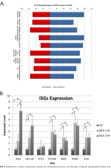 FIG 4 Differences in gene expression during the maturation process. (A) Number of genes upregulated (blue) anddownregulated (red) related to different cellular processes during maturation of myeloid dendritic cells