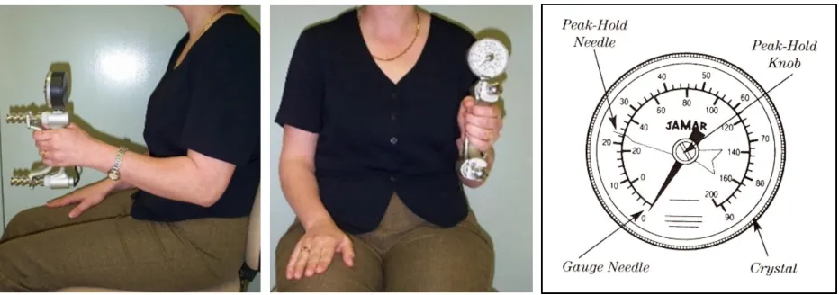 Fig.1  