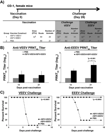 FIG 7 Immunogenicity and efﬁcacy of blended rISFV-VEEV/rISFV-EEEV vectors. (A) Outline of the study design infollowing lethal VEEV-ID or EEEV-NA challenge via the s.c
