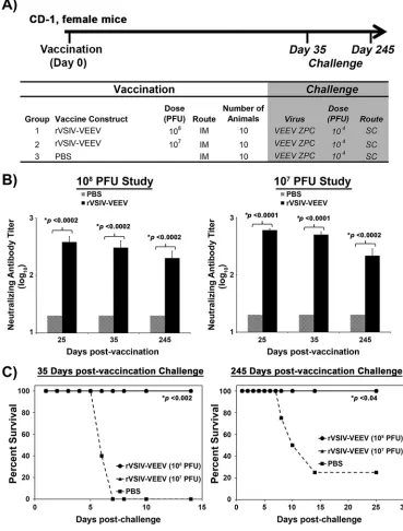 FIG 9 Dose titration and duration of efﬁcacy of the rVSIV-VEEV vector. (A) Outline of the study design in CD-1 mice.challenge via the s.c