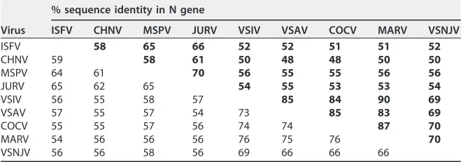 TABLE 1 List of rhabdovirus sequences utilized in analyses