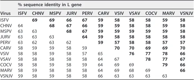 TABLE 3 Nucleotide and amino acid comparison based on full-length G gene sequencesof members of the genus Vesiculovirusa
