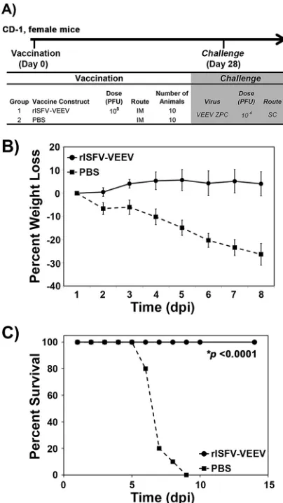FIG 5 Efﬁcacy of the rISFV-VEEV vector in CD-1 mice. (A) Outline of the study design. (B and C)Percent weight loss (B) and survival (C) following lethal VEEV-ID challenge via the s.c