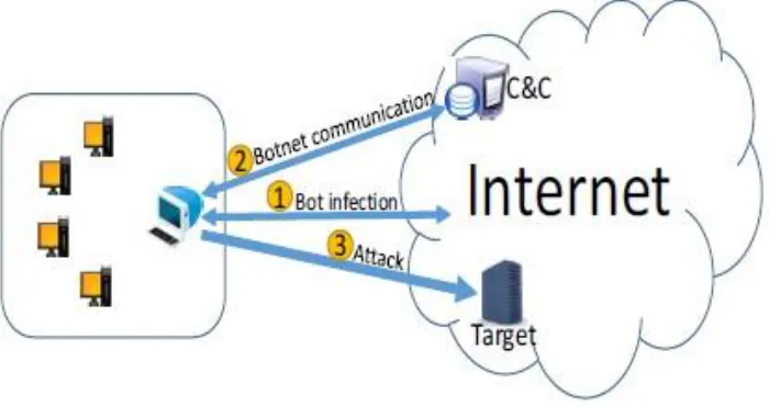 Figure 1. Typical steps in Botnets 