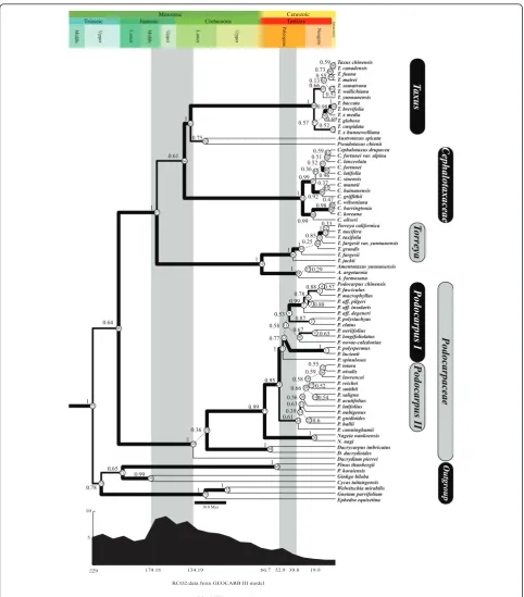 Figure 1 The phylogenetic tree inferred fromthe phylogenetic tree according to the geologic timeline