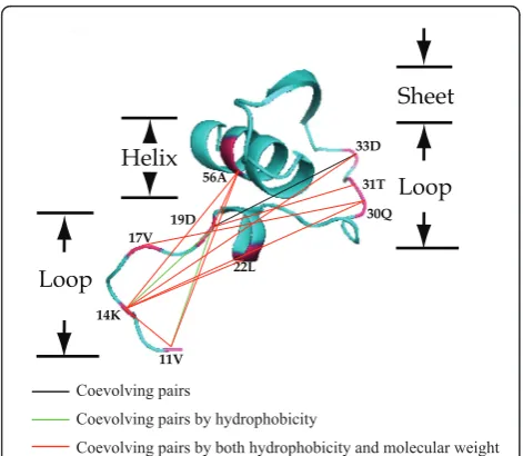 Table 4 Functional roles of the amino acid sites under adaptive evolution