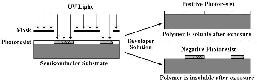 Figure 2.7:  Insoluble/soluble (positive/negative) photoresists rendered soluble/insoluble to a developer solution after UV light exposure